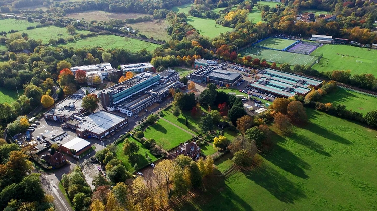 download seo powersuite crack